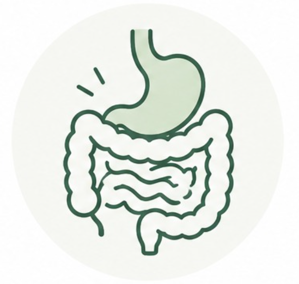 Enfermedades Digestivas